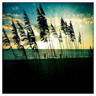 sunset on Anna Maria Island