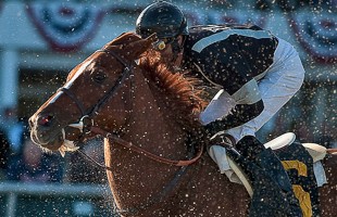 Eclipse Award Nomination